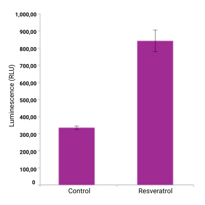 Bar chart comparing control vs. 10µM resveratrol showing increased luminescence in HepG2 cells.