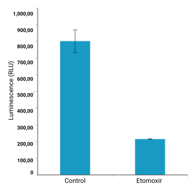 Bar chart comparing control vs. 20µM etomoxir showing reduced luminescence in HEK293 cells.