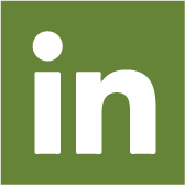 Linkedin icon
