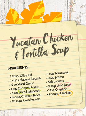 Yucatan Chicken & Tortilla Soup Recipe!