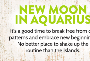 New Moon in Aquarius.