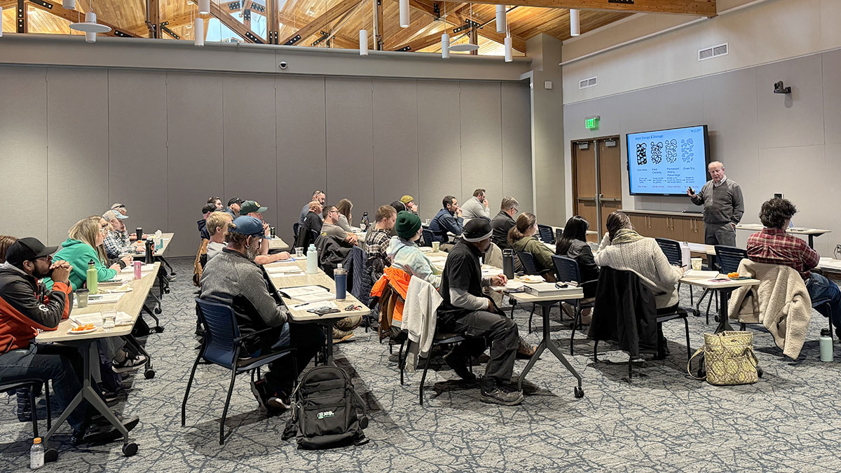 People in a classroom looking at instructor