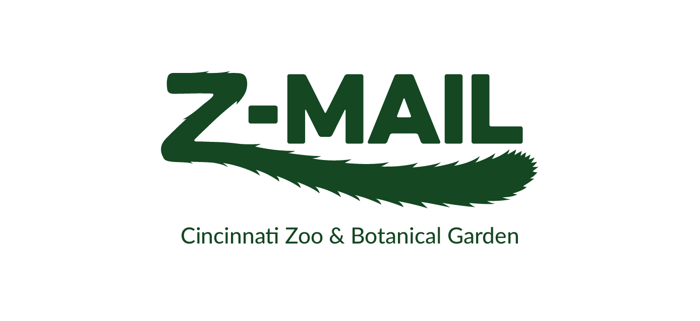 Z-mail logo