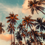 West coast LTL success story