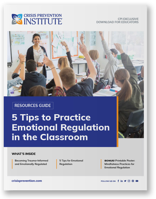 5 Tips to Practice Emotional Regulation in the Classroom
