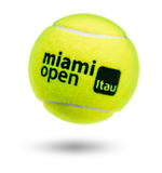 Tennis Ball