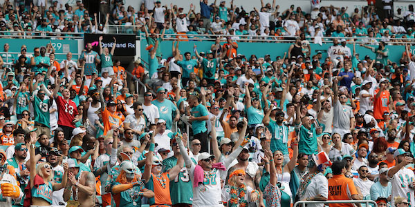 Miami Dolphins Fans