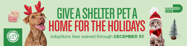 Give a shelter pet a home for the holidays. Adoption fees waived through December 31!