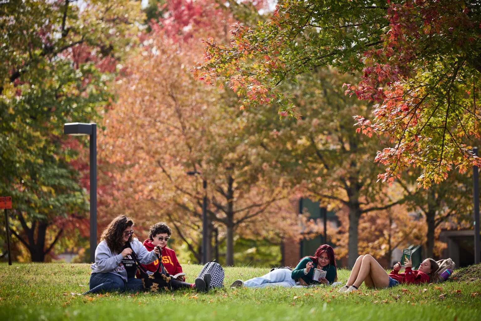 students under trees studying on University of Missouri St Louis campus
