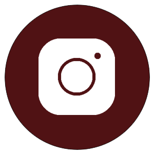 instagram icon