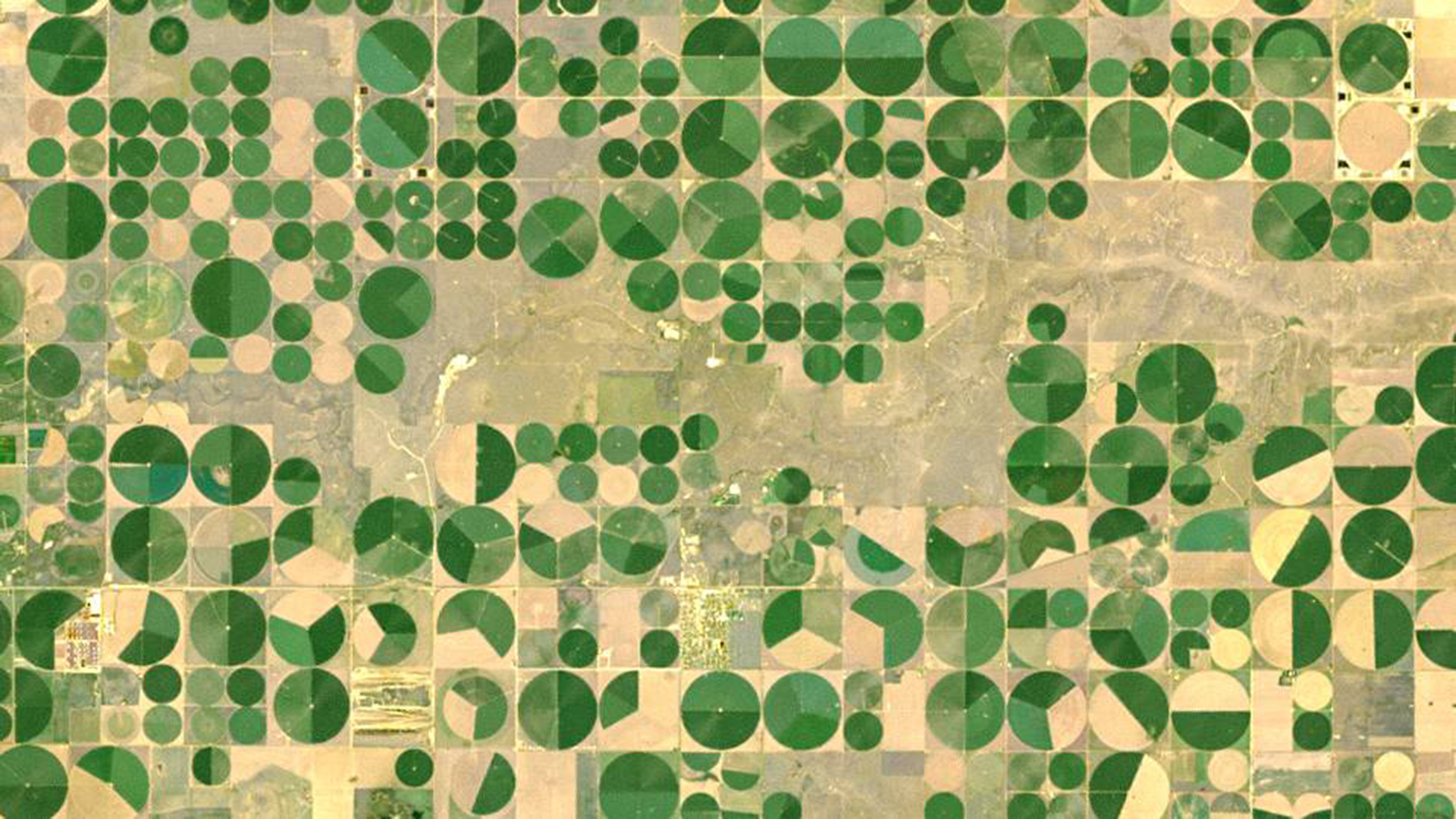 Crop circles new Dalhart, TX. (Photo credit: Landsat NASA)