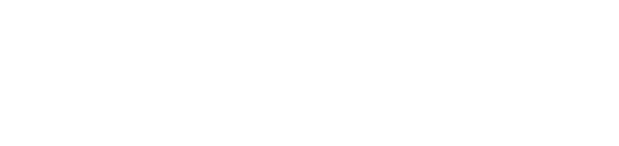Logo branco da Bizapp