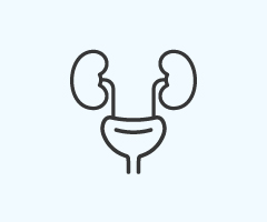 Icon representing Urinary and Kidney Health