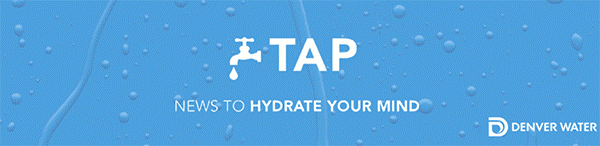 TAP News to Hydrate Your Mind
