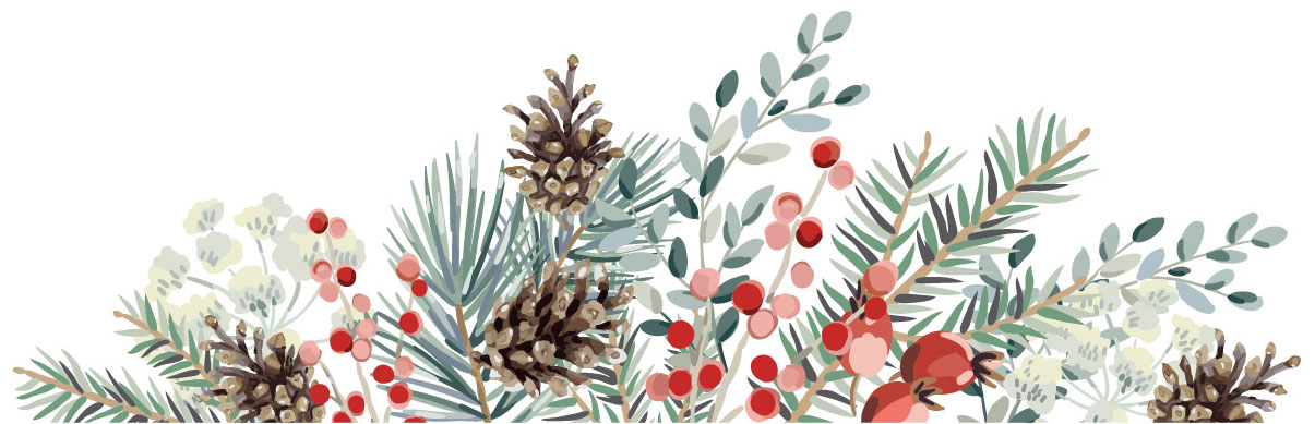 A festive border of evergreen branches, pine cones, rose hips, and winter berries