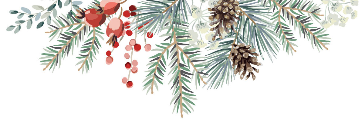 A festive border of evergreen branches, pine cones, rose hips, and winter berries