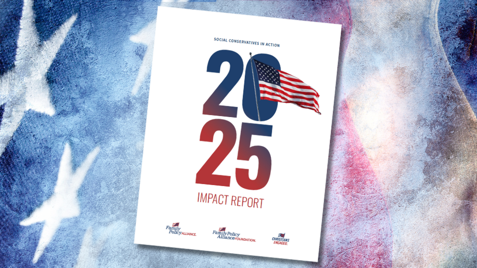 2025 Impact Report cover
