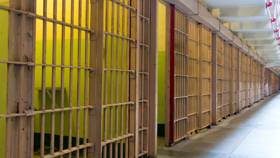 Prison bars