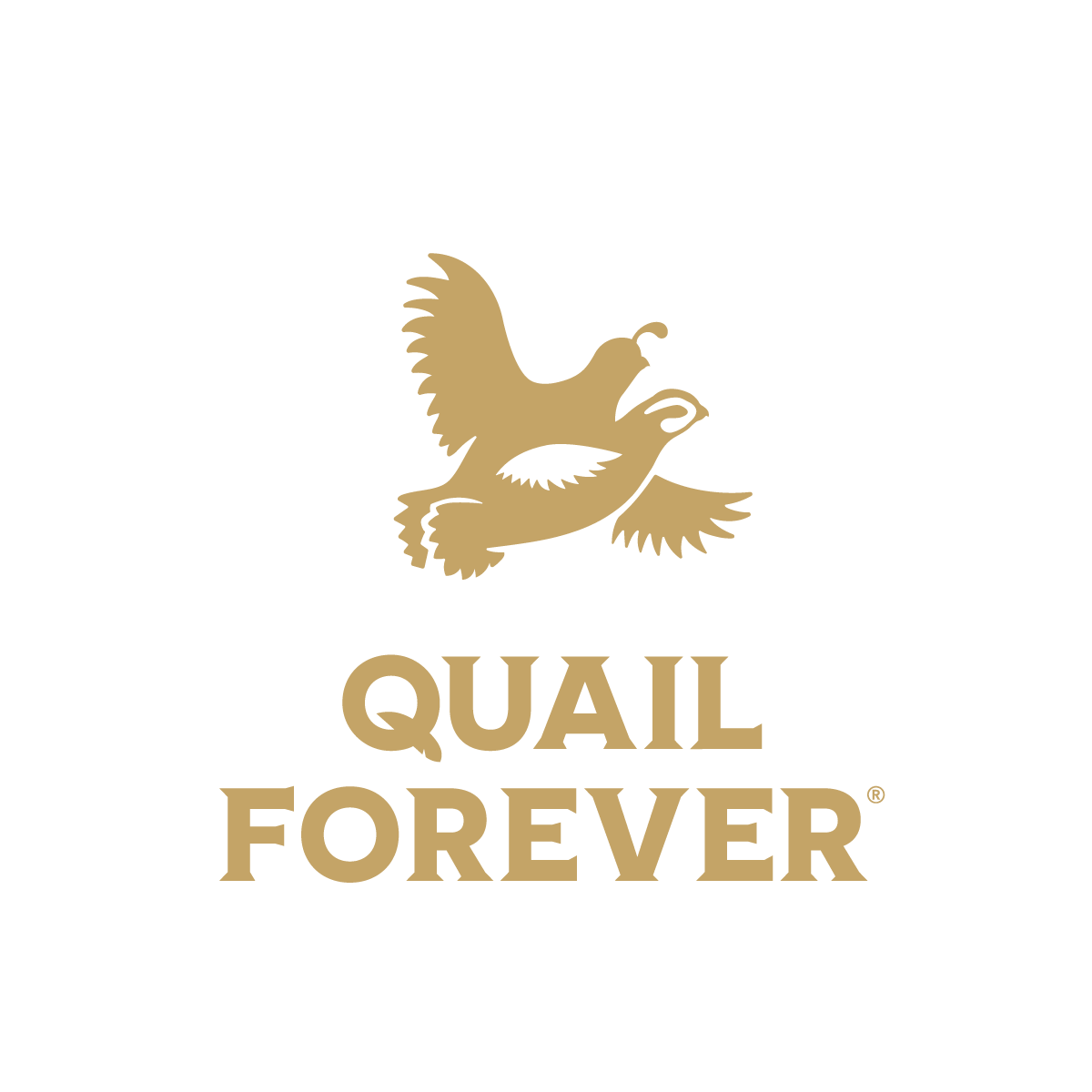 Quail Forever
