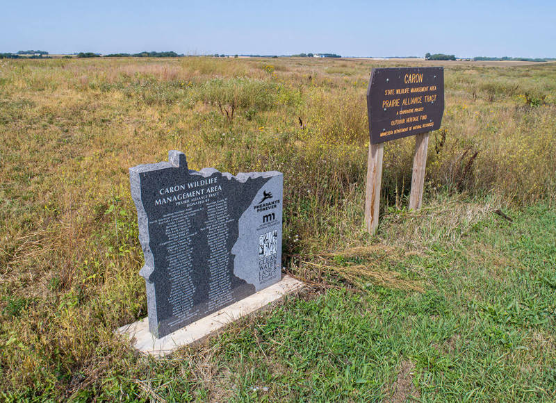 Build a Wildlife Area